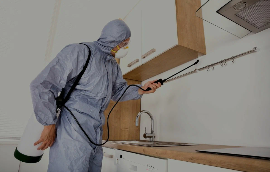 Lynwood pest managment
